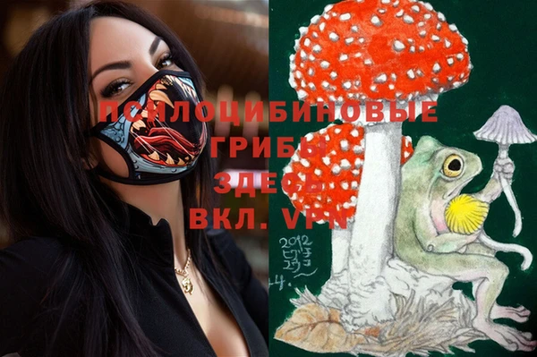 винт Усмань