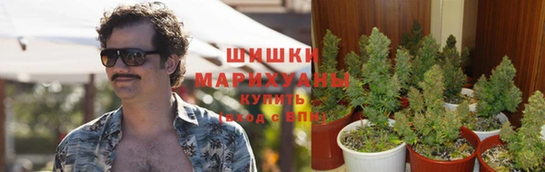 тгк Корсаков
