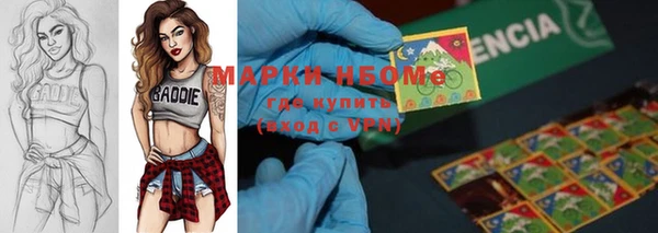 дмт Костерёво