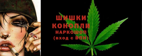 тгк Корсаков