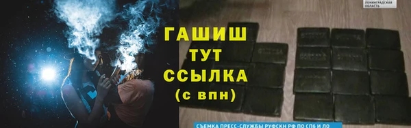 дмт Костерёво
