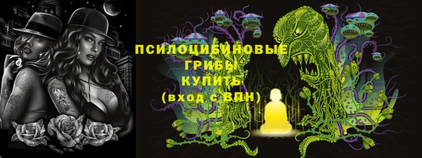 дмт Костерёво