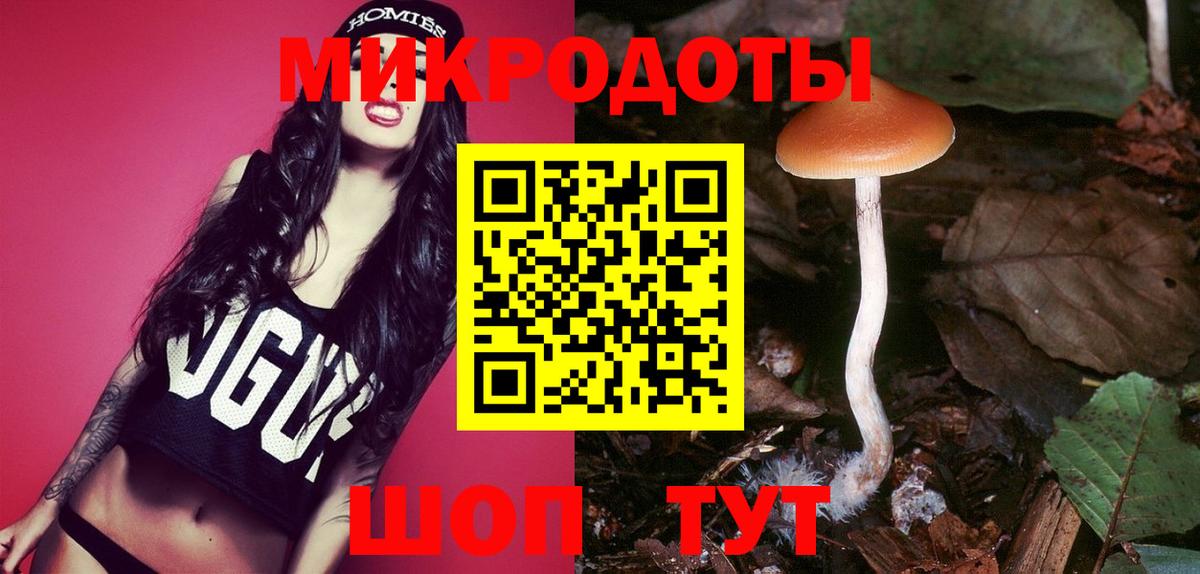 Саки  Псилоцибиновые грибы Psilocybe  Вход с VPN 
