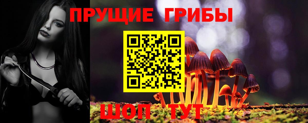 Галлюциногенные грибы Psilocybe Саки